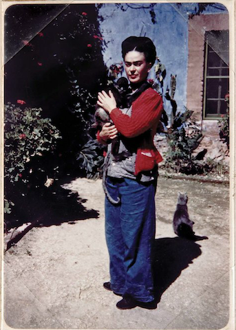 Frida Kahlo con in braccio una scimmietta. Il gatto pare decisamente offeso!
