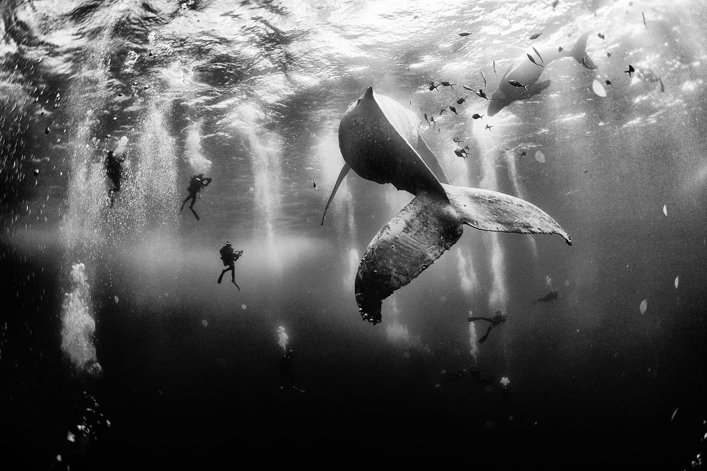  Le foto vincitrici del National Geographic Traveler Photo Contest sono sbalorditive