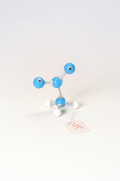 The object: Molecular animal Caption: An animal constructed out of different objects (chemical puzzle) with eyes glued on and a piece of paper saying who gave me this present