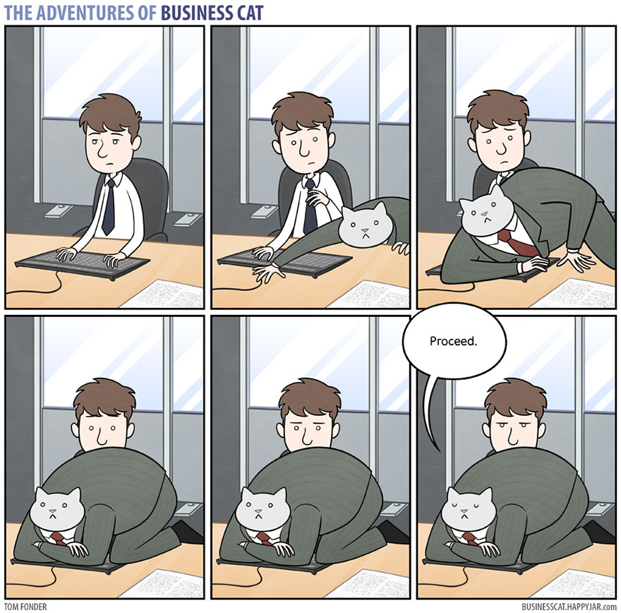 adventures-of-business-cat-comics-tom-fonder-16__880