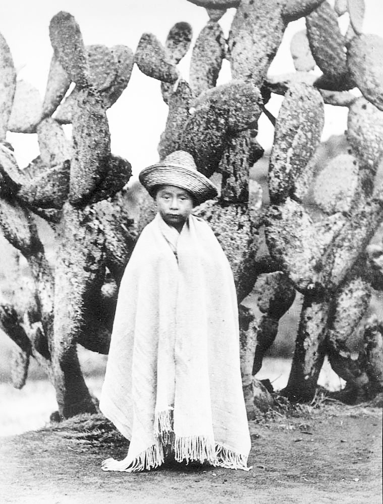 Tina Modotti, "Bimbo campesino vicino a un fico d’india", 1926 ca.